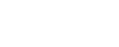 Reis Solution